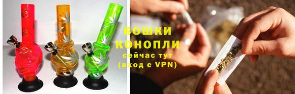 тгк Арсеньев