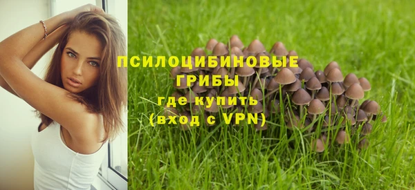 марки lsd Армянск